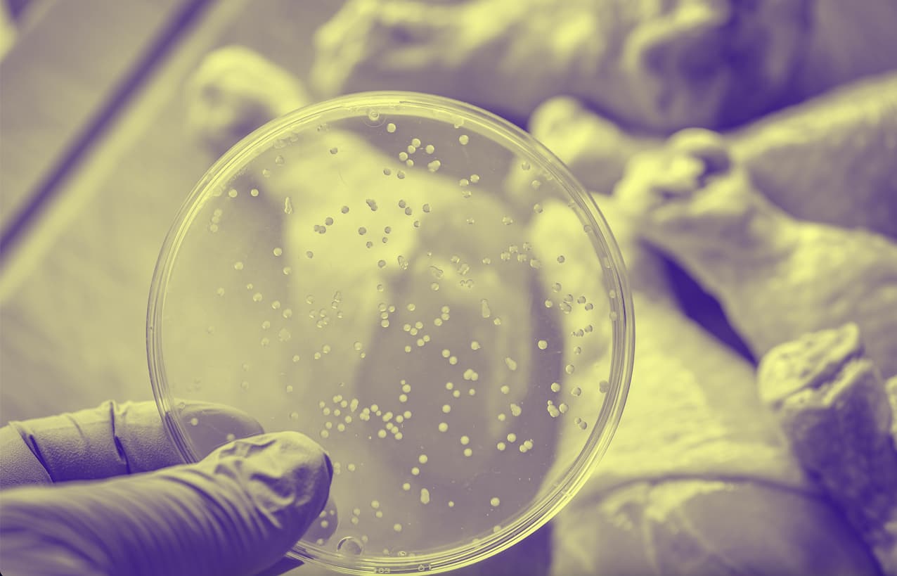 Food Safety Hazards The Ultimate Guide